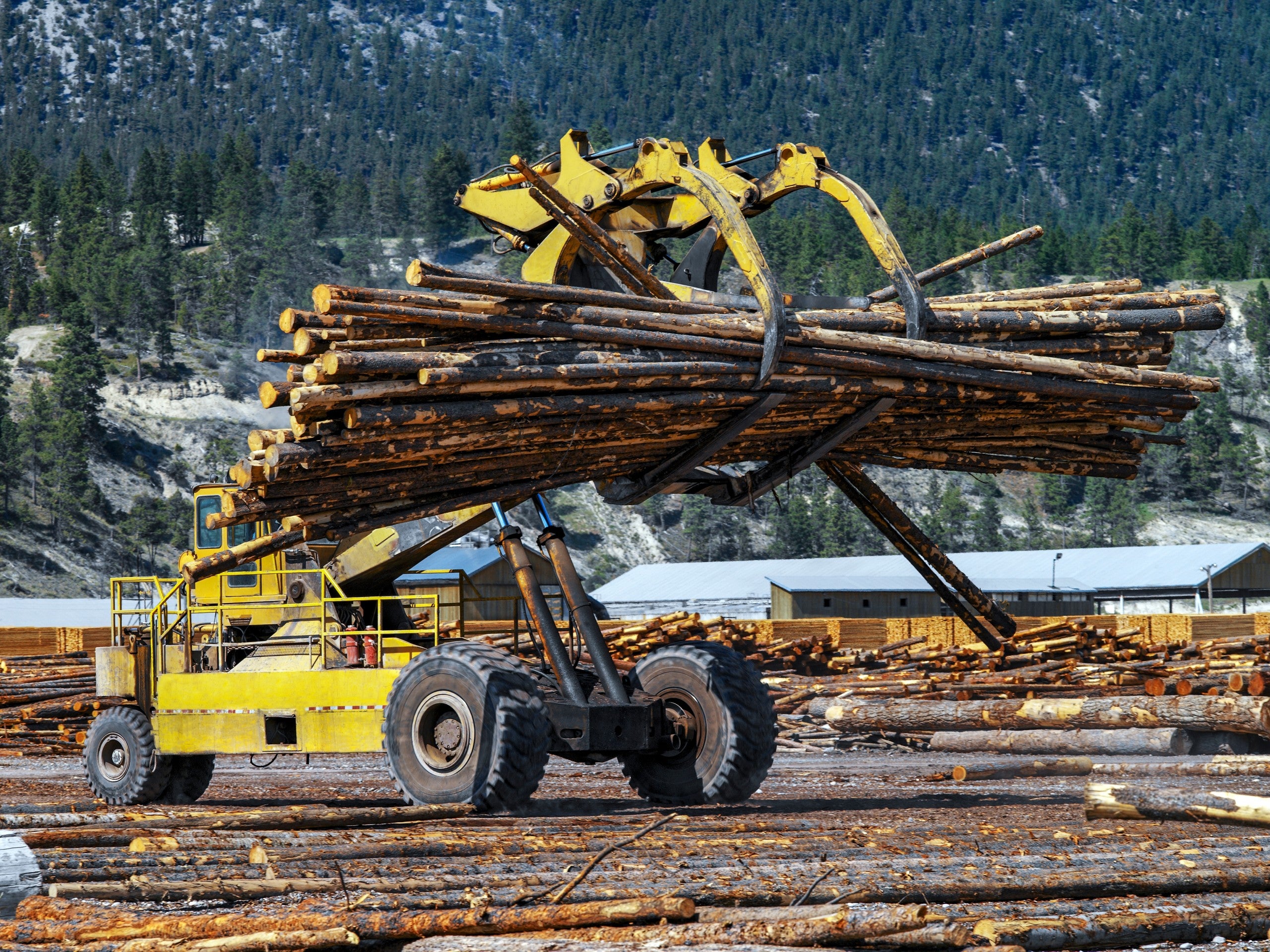 Lumber Yard – Alberta – Canada